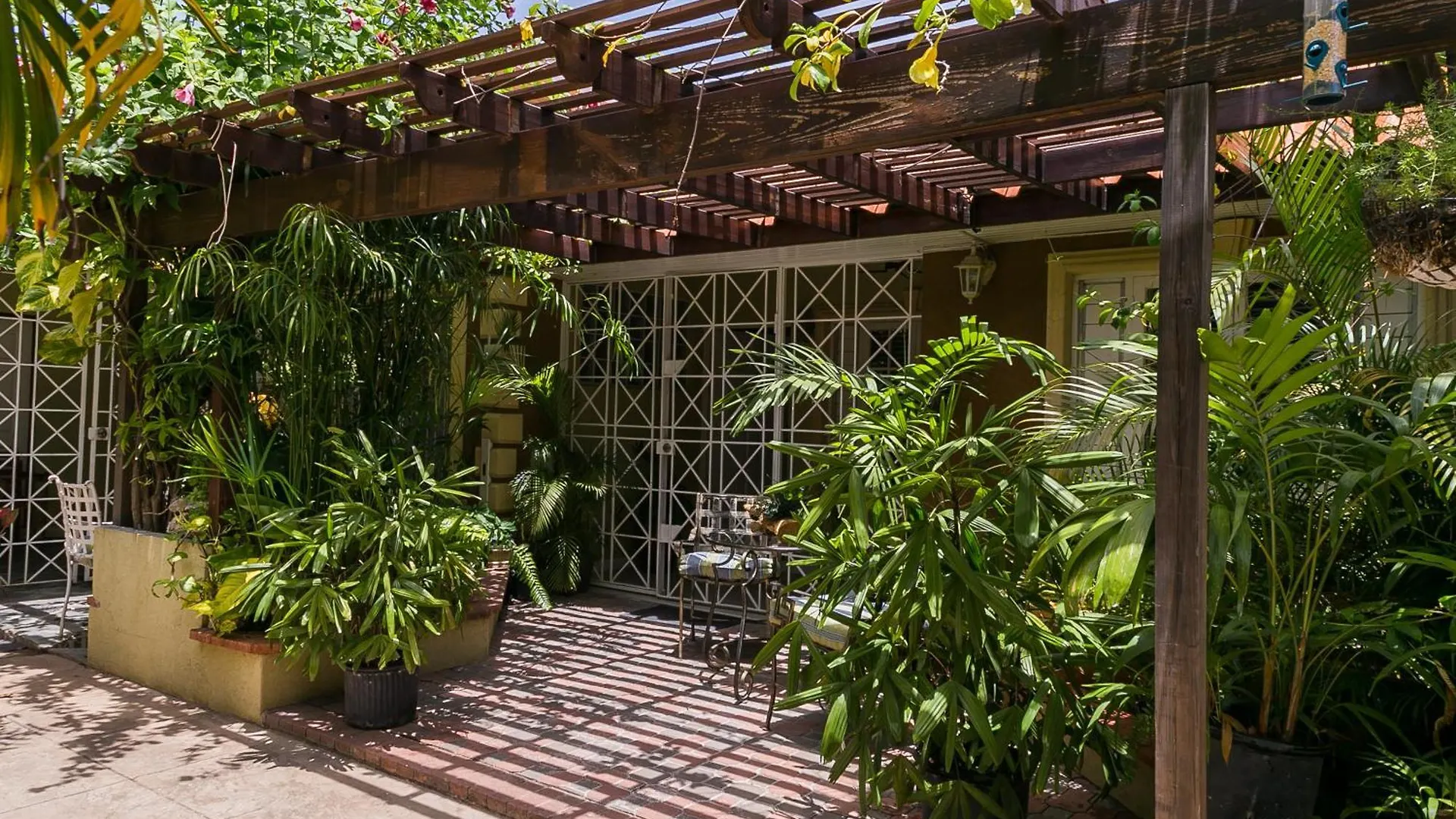 Botanic Bliss Living In Kingston Lejlighed